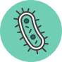 Triple Bacteriana Acelular: una dosis para personal de salud que asista menores de 12 meses. Revacunar cada 5 años.