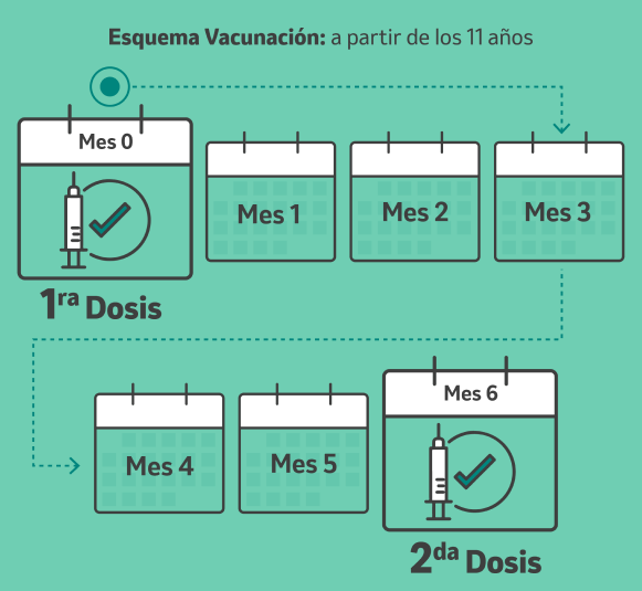 Esquema de vacunación a partir de los 11 años