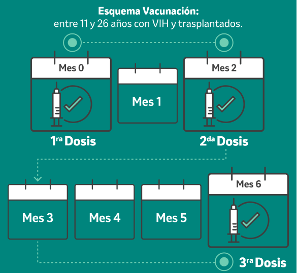 Esquema de vacunación entre 11 y 26 años conVIH y transplantados