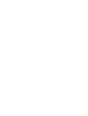 abdomen