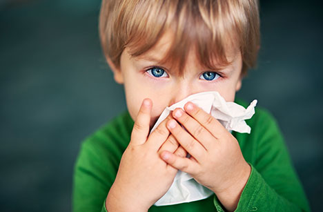 gripe
